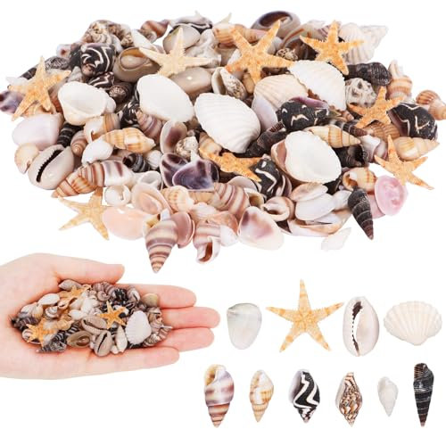 Decorazioni Conchiglia, 220pcs Conchiglie per Lavoretti Creativi, Mini Stelle Marine, per Riempire Vasi, Decorazioni Nuziali per Feste in Spiaggia, Artigianato, Acquari, Creazione di Candele (A)