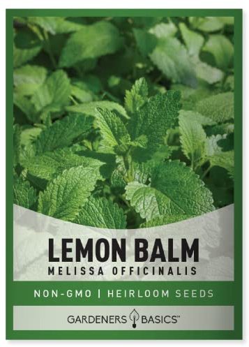 Gardeners Basics Lemon Balm Seeds for Planting Herbs - (Melissa Officinalis) Indoors and Outdoors Heirloom, Open-Pollinated, Non-GMO Herb Variety, Great for Home Herbal Tea Seed Gardens and More