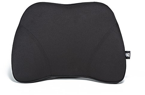 Castle Squire Firm Memory Foam Lower Back Backrest - Dense Foam Padding Lumbar Support Pillow for Home, Office, Auto, and Travel (Squire Size, Nightfall)