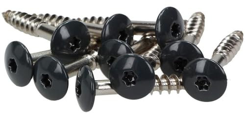 100x MEISTERLING® Fassadenschrauben INOX V2A 4,8 x 38 mm – Flachkopf Torx T20 + 1 Bit – Anthrazit