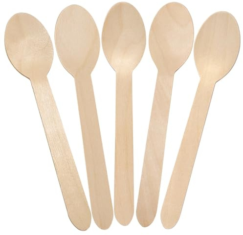 CaterCo Wooden Spoons Cutlery 500 Spoons - Eco-Friendly Biodegradable Birchwood Spoons - Compostable Spoon For Parties, Picnics, Camping, And Events