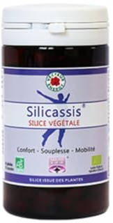 SILICASSIS BIO Silicium organique 60 Gélules Vecteur Energy