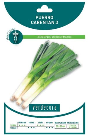 Verdecora Semillas Puerro Carentan | Fácil cultivo | Tallos largos, gruesos y blancos