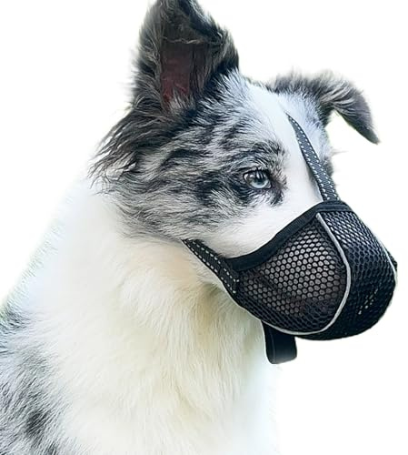 Muselière pour Chien Empêche de Mâcher/Manger/Mordre, Respirante, Réfléchissante et Ajustable, Anti-Morsure (Noir-M)