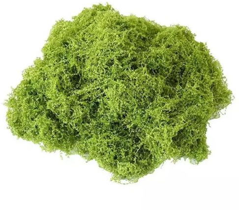 XUELIYUN Fake Moss Artificial Moss Faux moss Natural Light Green for Arts and Crafts for Indoor Plant Pots Christmas and Easter Decorations, Landscaping, Floristry and More (50g)