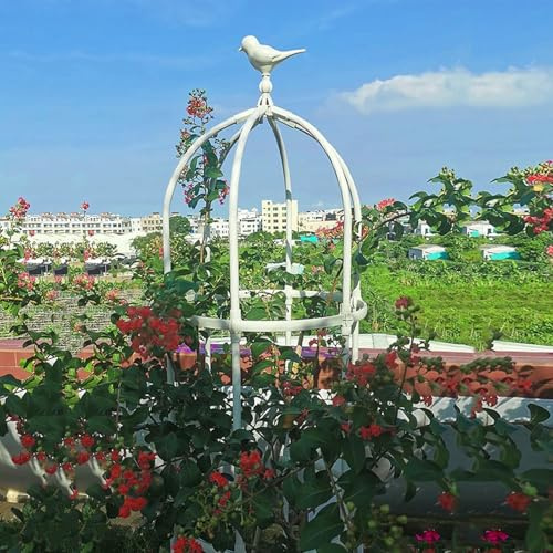 Traliccio da giardino obelisco per piante rampicanti, torre di supporto in metallo robusto per rose e rampicanti