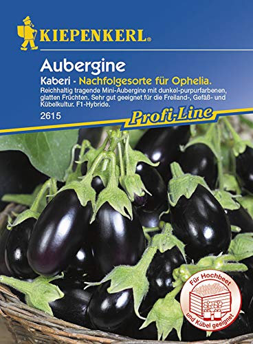 Kiepenkerl 2615 Aubergine Kaberi (TSX 250) F1 (Auberginensamen)