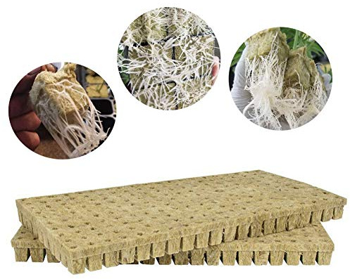 Rockwool Grow Cubes Starterblätter, 50/100 Stück Steinwollwürfel für Stecklinge, Klonen, Pflanzenvermehrung, Gewächshauskompresse-Basis, Steinwoll-Starterwürfel für kräftiges Pflanzenwachstum