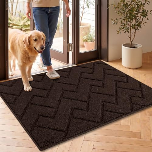 Biscpro Fußmatte Innen Außen Waschbar eingangsteppich innen Schmutzfangmatte rutschfest,Türmatte Innen Teppich für Eingang, Patio, Flur, Garten, Innen und Außen (Coffee, 60x90cm)