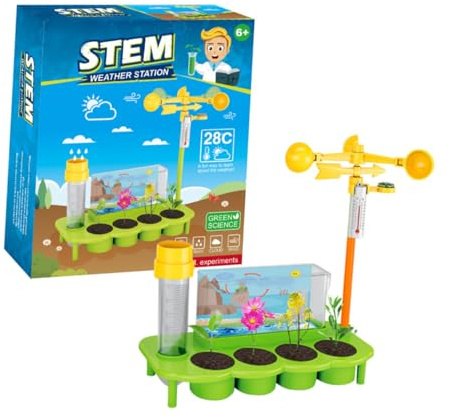 FRCOLOR Ecological Weather Toy for Boys and Girls Interactive Plant Monitoring Kit for Children Educational Weather Science Activity for Learning about Rain and Plant Growth
