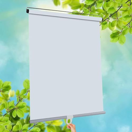 Infällbar rullgardin 80 x 200 cm (31 x 79 tum) – ingen borrinstallation, ljusfiltrering, integritet, fönsterskydd för hem och kontor, inomhus- och utomhusbruk, snygg vit färg
