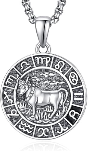 Sternzeichen Stier Anhänger Kette Silber Stier Halskette Herren Tierkreiszeichen Anhänger Schmuck Sternzeichen Konstellation Kette Geschenke für Männer