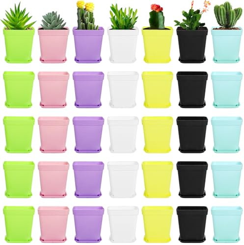 Hedume Lot de 70 Pots de Fleurs en Plastique coloré, Mini Pots de Fleurs carrés avec Palette, Plantes d'intérieur