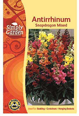 Simply Garden Antirrhinum Snapdragon Mixed Flower Seeds Grow Your Own Flowers Plants