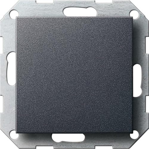 GIRA 026828 Blindabdeckung mit Tragring System 55 Anthrazit