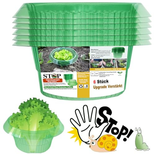 VDYXEW Protección Contra Caracoles, Collar para Plantas de Lechuga y Repollo, Repelente Sin Productos Químicos, de Plástico (6 Unidades)