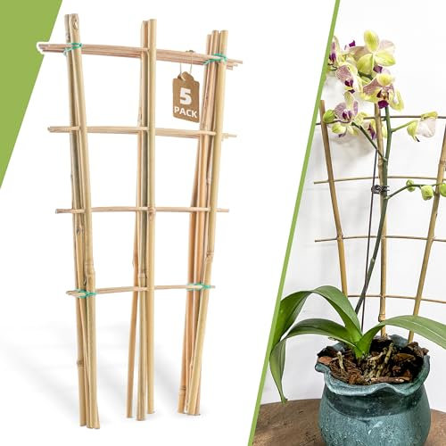 Lot de 5 treillis en bambou de 40,6 cm pour plantes grimpantes - Échelle de jardin naturelle en forme d'éventail - Treillis de support pour plantes en pot dans la porte
