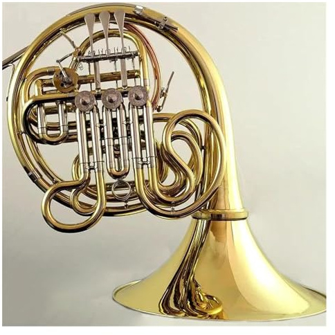 Doppeltes Waldhorn Aus Messing Mit Goldlack, Bb/F-Ton, 4 Klappen, Koffer Und Zubehör Waldhorn-Set