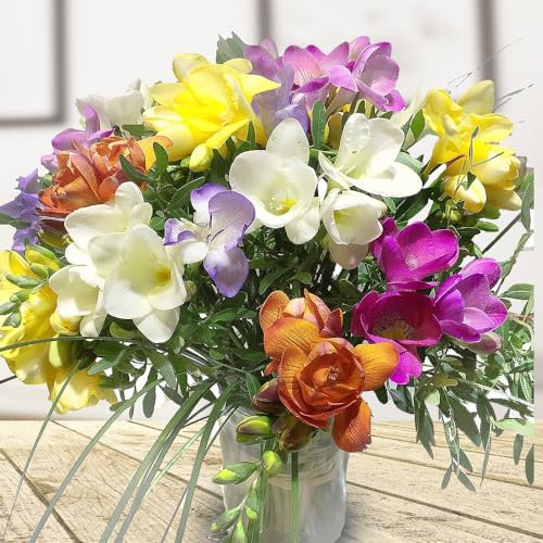 Bunter Freesien Blumenstrauß mit Pistazie und Gräsern - Inklusive gratis Grußkarte # Frisch und farbenfroh