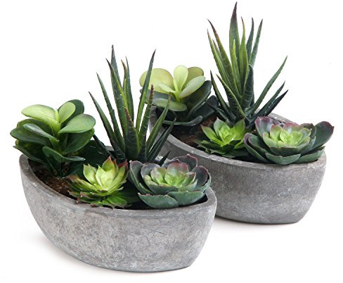 T4u Set de 2 Plantas Artificiales Verde Oscuro de Interior, pequeñas Plantas Decorativas para Oficina y hogar, Ideales para Decorar escritorios y Espacios Interiores sin Mantenimiento