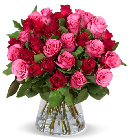 Blume Ideal Rosenstrauß | 70 Rosen - Romantic Roses | Ø 40–50 cm | Echte Premium Rosen für Hochzeit & Deko | 7 Tage Frischegarantie | In verschiedenen Farben und Mengen