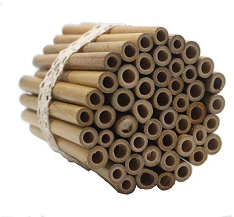 Super Idee 50 Stück 10cm Länge Bambusröhrchen zum selber Bauen Wiederverwendbaren Basteln aus Bambus für Insektenhaus Wildbienenhotel Wildbienenhaus Bienenhotel Nisthilfen