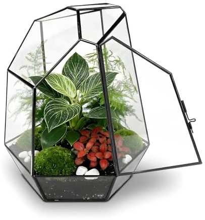 Noctis - Kit de Terrario Completo DIY para Plantas de Vidrio con Sustrato y 10 Herramientas Incluidas - Estructura con Diseño Geométrico - Ecosistema Autónomo, Caja Creativa (sin Plantas)