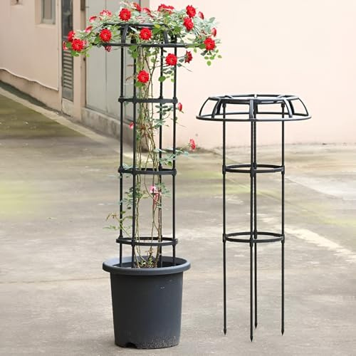 Treillis de jardin réglable pour plantes grimpantes – Support pour plantes grimpantes – Obélisque pour plantes en pot, vignes, roses, clématites et légumes (50 x 75 cm)