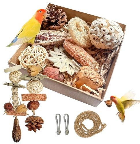 UOSIWYA 10 Pcs Bird Toys, Parrot Budgie Chewing Toys Cockatiel Bird Cage Hanging Shredder Toy Birds Cage Accessories for Caged Parakeet