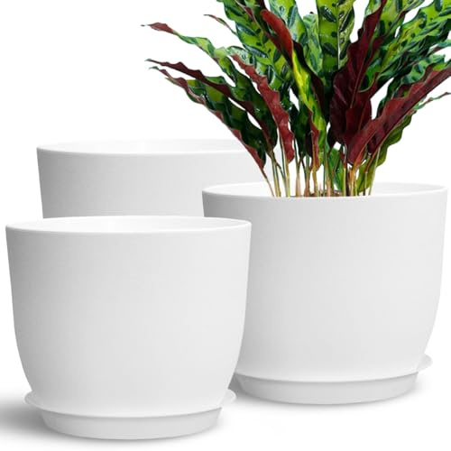 SE SUN-E 3 vasi per piante, 25 cm, in plastica, con foro di drenaggio e piattini, grandi vasi da interni, colore: bianco
