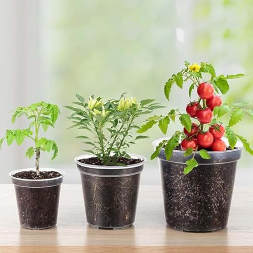 10 macetas de plástico transparente con agujeros de drenaje, macetas pequeñas para plantas de vivero, macetas para esquejes, suculentas (3 pulgadas)