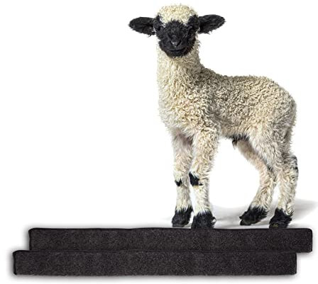 BigDean 2X Zugluftstopper für Fenster 120cm - 100% Schurwolle - Anthrazit - Luftzugstopper Durchzugstopper Windstopper - Made in Germany