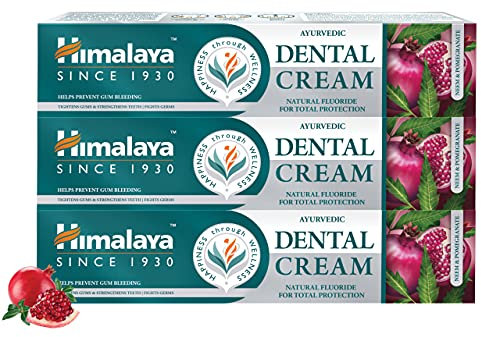 Himalaya Ayurvedic Dental Cream Herbal Toothpaste - Neem & Pomegranate Gum Protection | Helps Fight Plague, Cavity and Prevents Tooth Decay | With Natural Fluoride - 100g (Pack of 3)