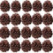 Lot de 20 pommes de pin naturelles séchées pour travaux manuels, décorations de sapin de Noël, accessoires de bricolage, décorations de maison ou de vacances