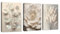 3 Pcs Neutro Beige Floreale Pianta Stampa su Tela Con Cornice, Boho 3D Texturizzato Fiore Botanico Quadri Moderni pittura su tela poster Decorazione Murale Adatto Soggiorno Camera da letto 30x40cmx3