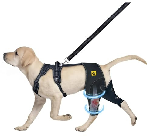 Rodillera para perro para ligamento cruzado, protector de soporte de pierna trasera para perros para lesiones del ligamento cruzado anterior, ayuda a la recuperación, articulaciones cálidas y alivio