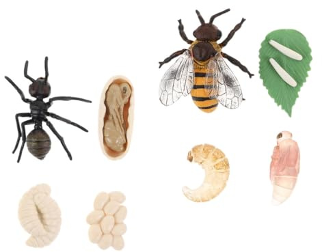 SKISUNO 2 Juegos Artificiales de Ciclo de Crecimiento de Abejas y Juguetes Educativos de Simulación Biológica para Resistente y Seguro para Aprendizaje