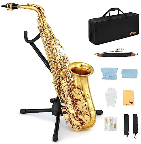 Eastar Student Alto Saxophone E Flat for Beginner Sax Full Kit with Carrying Case, Mouthpiece, Straps, Reeds, Stand, Golden Lacquer, AS-Ⅱ