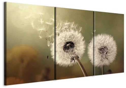B&D XXL - Leinwandbild Pusteblume Natur, 180x90 cm, 3-teilig, Schlafzimmer | Hochwertige Leinwand, sofort aufhängbar, ideal fürs Wohn- oder Schlafzimmer, wasserfest und lichtecht, langlebig, stilvoll