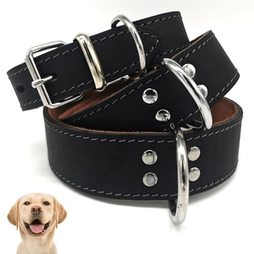 Hundehalsband Leder Schwarz Verschiedene Varianten, Extra Breit – Starkes Echtleder Halsband für alle Hunde, Verstellbar mit Metallschnalle, Lederhalsband für Alltag & Training (Schwarz, 5 x 80 cm)