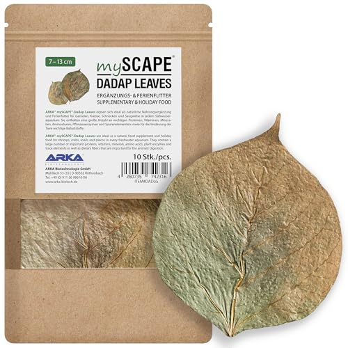 ARKA mySCAPE-DADAP Hojas - 7-13cm / 10 Piezas - Alimento Natural de Vacaciones para gambas, Caracoles y siluros, promueve la Salud en acuarios de Agua Dulce.
