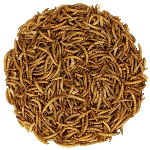 vogeltreff24 Mehlwürmer getrocknet 10kg - für Vögel, Nager, Reptilien und Fische - proteinreiches Futter - höchste Qualität (2 x 5 kg)