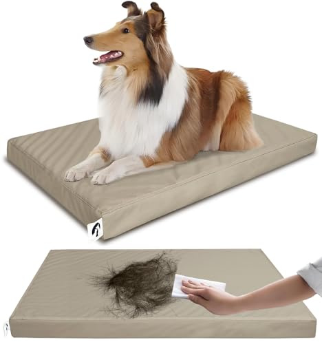 GUANGDEEN XL-Hundebett aus Leder, wasserdicht, haarbeständig, mit waschbaren Bezügen, orthopädisches Schaumstoff-Haustierbett