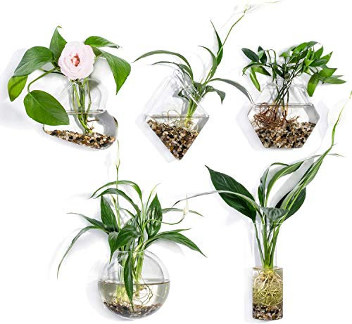 Aquarium-Set, transparente Wandvase aus Glas, Blumentopf zum Aufhängen an der Wand, Blumentopf für Pflanzen, Terrarien und Terrarien (Stil 3)