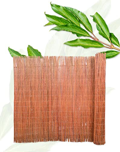 Z4L Tappetino in vimini, frangivista, per giardino, balcone, terrazza, protezione naturale, protezione dal vento, 160 cm x 300 cm