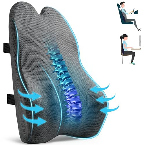 Ergonomic Lumbar Support Cushion, Memory Foam Back Support Pillow for Office Chair, Car Seat, Recliner, Large Back Support Cushion with Adjustable Straps,Lower Back Pain relief Gray