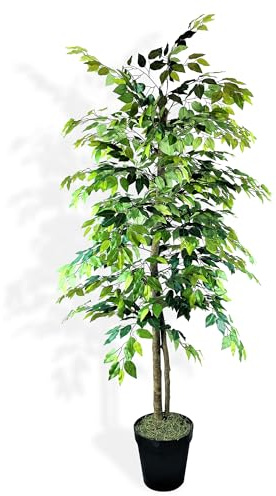 LCG Florals 6ft Artificial Ficus Tree in Black Plastic Pot - Real Wood Trunk, Preassembled, No Maintenance Indoor Faux Plant - Living Room, Home & Office Decor