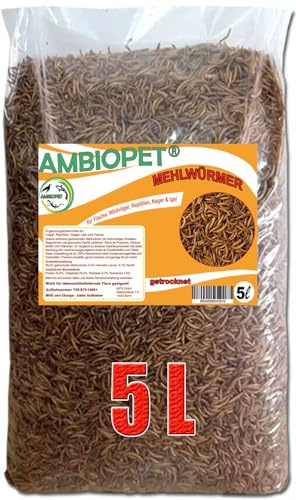 Ambiopet getrocknete Mehlwürmer in 5L Abpackung, Protein- und fettreich, verfeinert und gesiebt, für Fische, Nager, Vögel, Reptilien, auch Koifutter oder Igelfutter