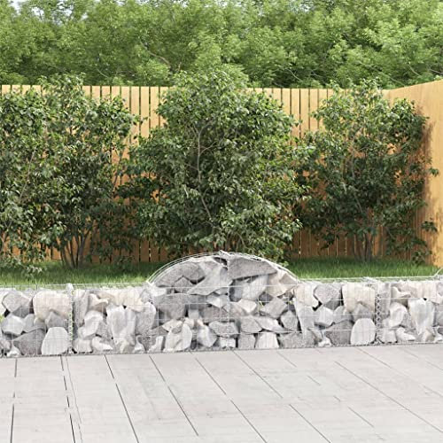 OHOOWOO Cesti Gabbioni ad Arco 4 pz 200x30x40/60 cm Ferro Zincato,Gabbia gabbione per giardino Resistente e decorativa Contenimento stabile e fonoassorbente Vasi e accessori per piante