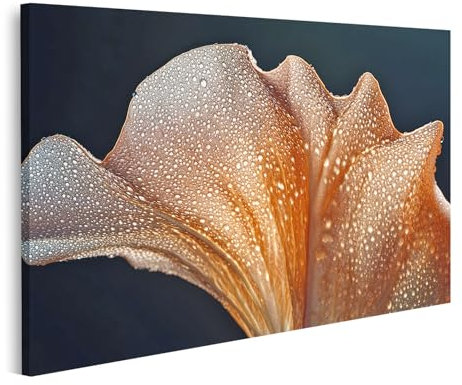 islandburner Prime Image sur toile Motif calice de fleurs plongeant à l'aube Images murales Poster
